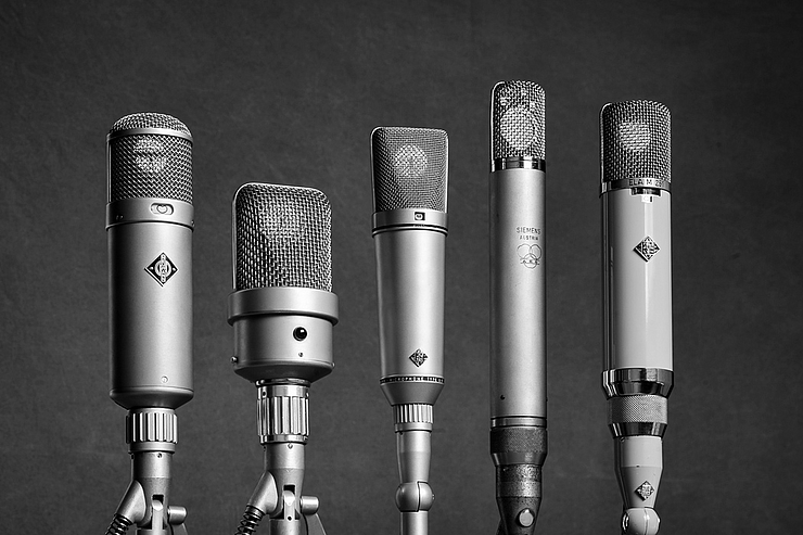 Neumann U47, Neumann M49, Neumann U67, AKG C12, Telefunken Ela M251